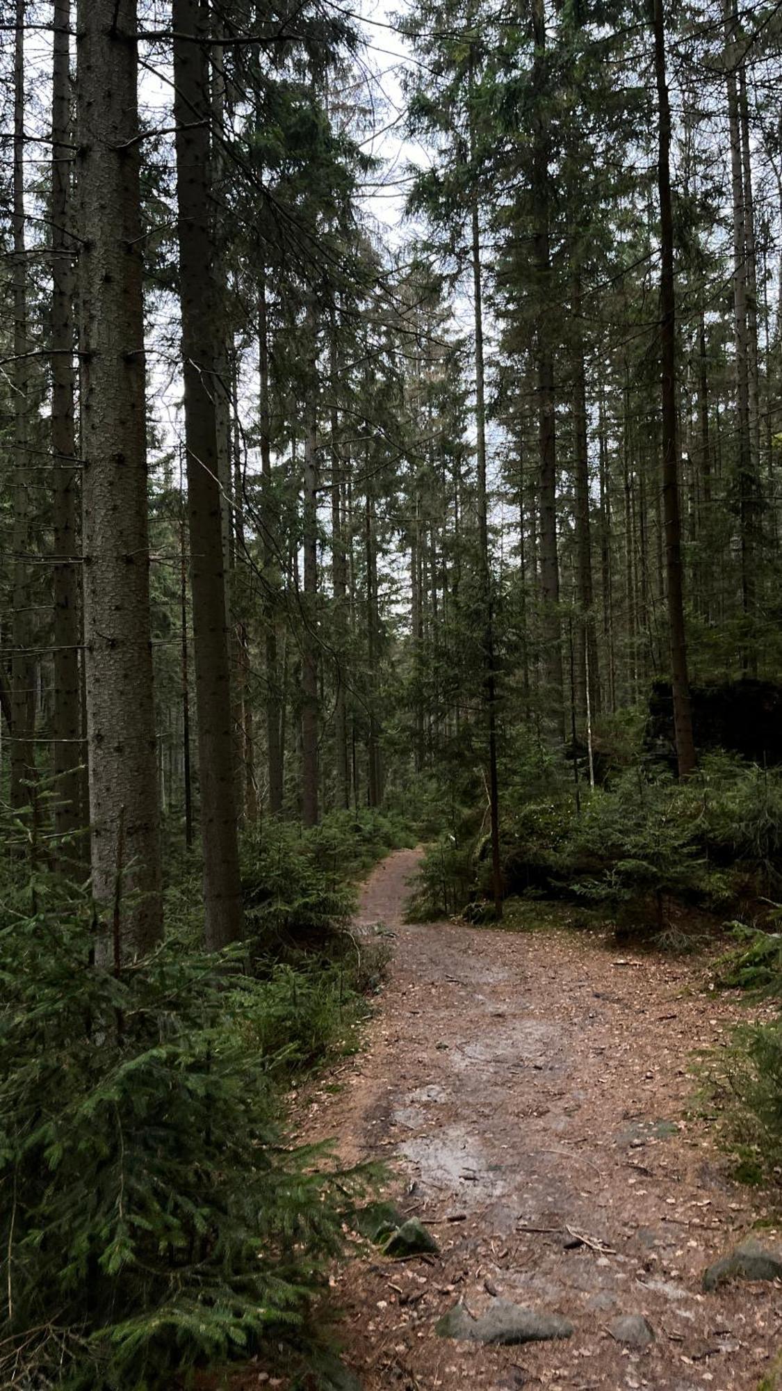 Feelmountains Hotell Teplice nad Metují Eksteriør bilde